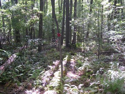 Moose Creek Trail/NorthernEntranceBefore1